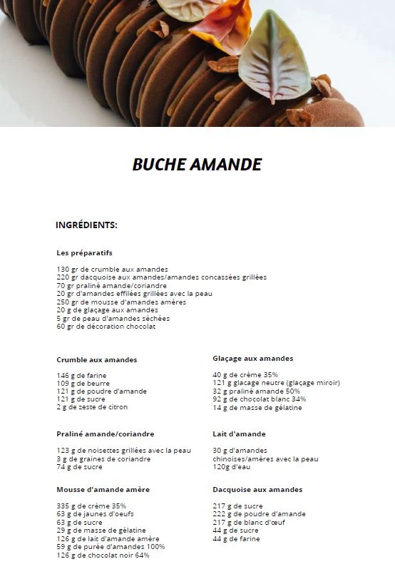 Nouveau Livre de Recettes de Bûches 2026 pour Moule Silicone
