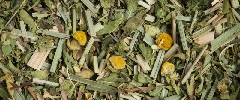 Tisane - Jardin des songes Bio
