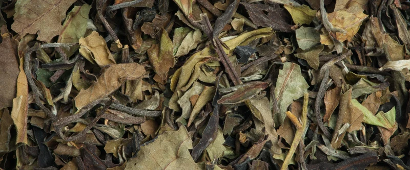 Pai Mu Tan Bio