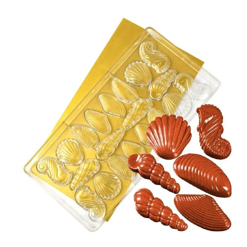 Moule Polycarbonate Chocolat - Coquillages