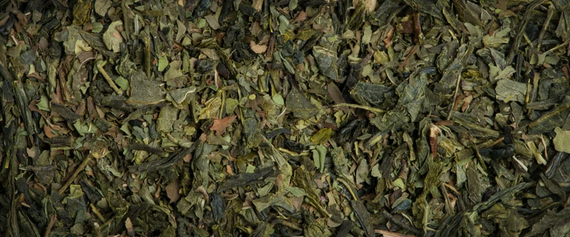 Menthe douce Bio