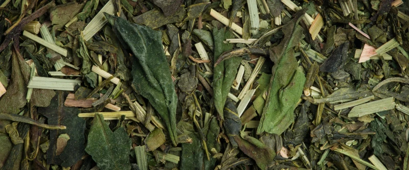 Bio detox