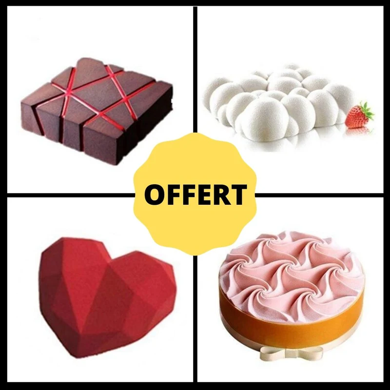 Lot de 4 Moules Silicone + Livre Recettes Offert