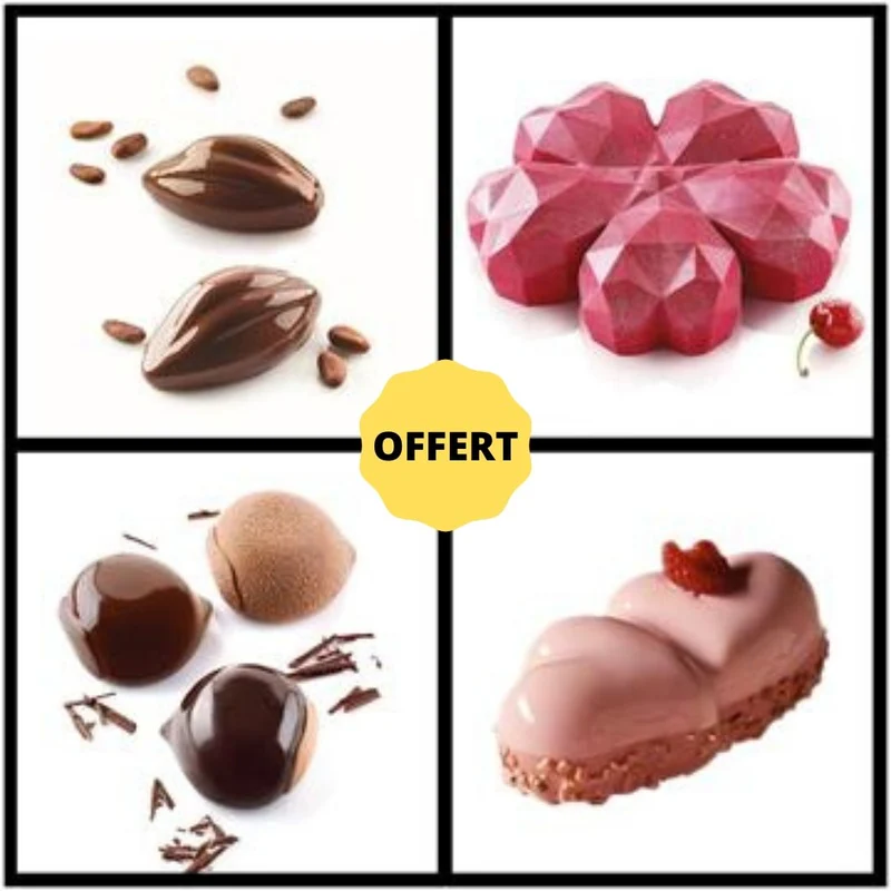 Lot de 4 Moules Silicone + Livre Recettes Offert