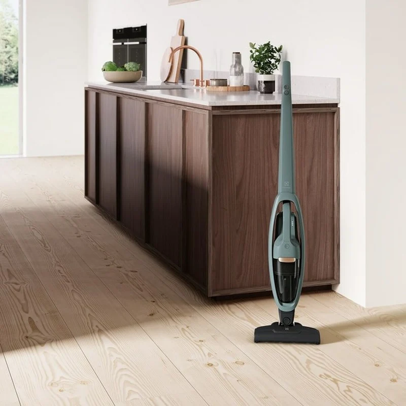 Aspirateur à main Electrolux WQ61-40OG