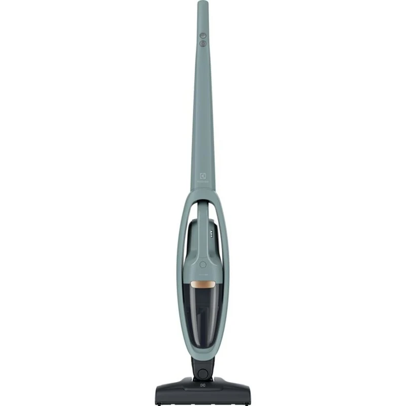 Aspirateur à main Electrolux WQ61-40OG
